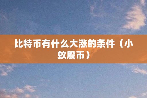 比特币有什么大涨的条件(小蚁股币) 比特币有什么大涨的条件(小蚁股币)