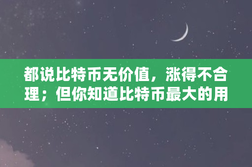 都说比特币无价值,涨得不合理;但你知道比特币最大的用途吗(为什么只收比特币不收美元) 都说比特币无价值,涨得不合理;但你知道比特币最大的用途吗(为什么只收比特币不收美元)