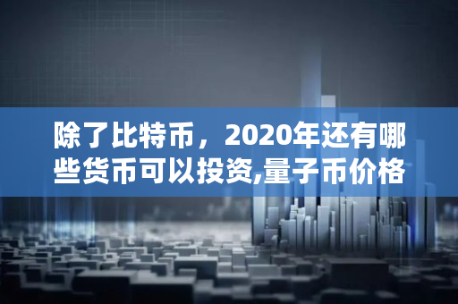 除了比特币,2020年还有哪些货币可以投资,量子币价格多少钱一枚 除了比特币,2020年还有哪些货币可以投资,量子币价格多少钱一枚
