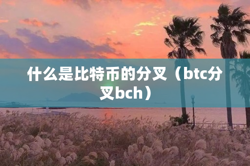 什么是比特币的分叉(btc分叉bch) 什么是比特币的分叉(btc分叉bch)