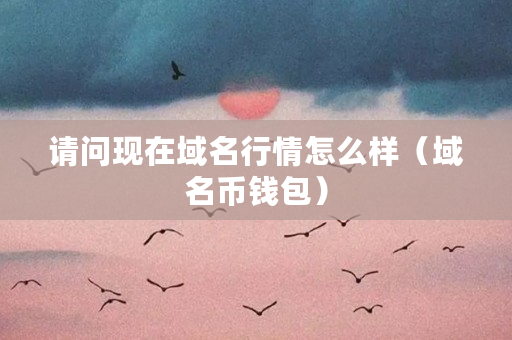 请问现在域名行情怎么样(域名币钱包) 请问现在域名行情怎么样(域名币钱包)