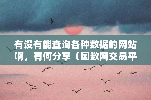 有没有能查询各种数据的网站啊，有何分享（国数网交易平台是什么软件）