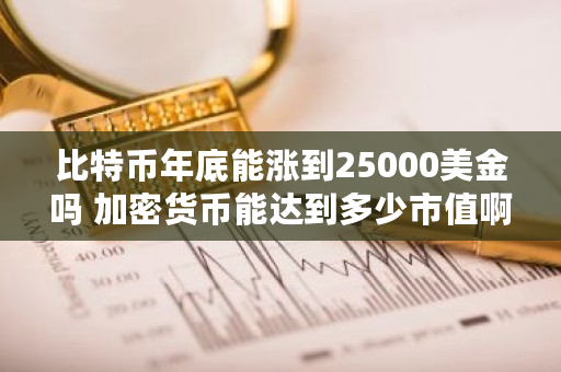 比特币年底能涨到25000美金吗 加密货币能达到多少市值啊