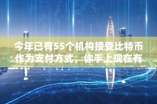 今年已有55个机构接受比特币作为支付方式，你手上现在有多少币呢 55比特币是多少人民币