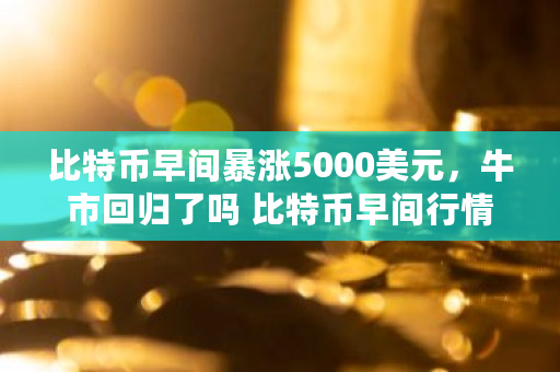 比特币早间暴涨5000美元，牛市回归了吗 比特币早间行情