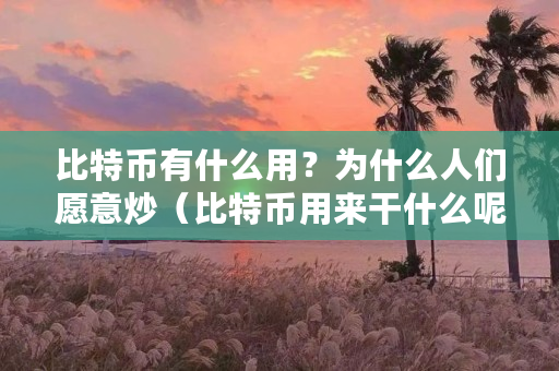 比特币有什么用?为什么人们愿意炒(比特币用来干什么呢) 比特币有什么用?为什么人们愿意炒(比特币用来干什么呢)