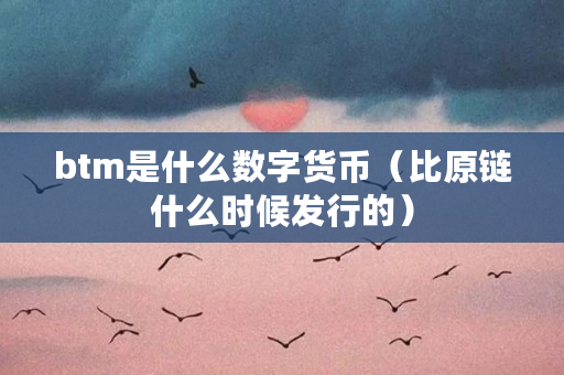 btm是什么数字货币（比原链什么时候发行的）