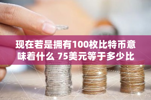 现在若是拥有100枚比特币意味着什么 75美元等于多少比特币啊