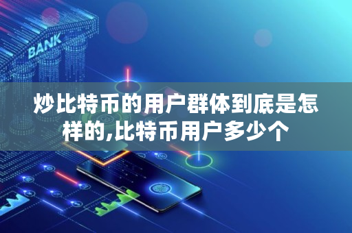 炒比特币的用户群体到底是怎样的,比特币用户多少个 炒比特币的用户群体到底是怎样的,比特币用户多少个