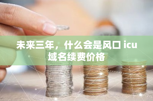 未来三年，什么会是风口 icu域名续费价格