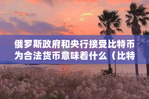 俄罗斯政府和央行接受比特币为合法货币意味着什么（比特币为什么合法派币为什么不合法）