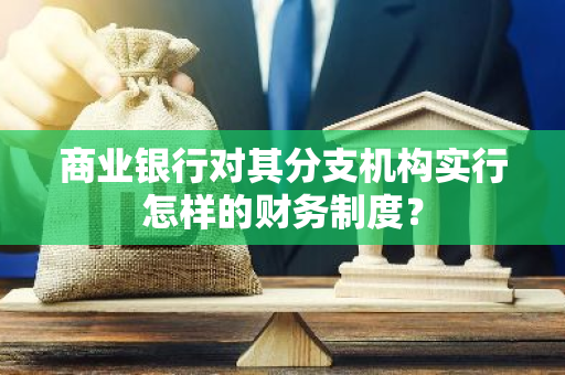 商业银行对其分支机构实行怎样的财务制度？