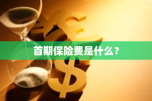 首期保险费是什么？