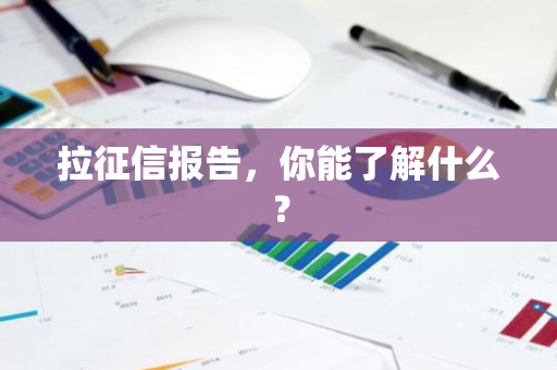 拉征信报告，你能了解什么？