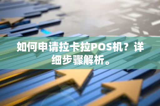 如何申请拉卡拉POS机？详细步骤解析。