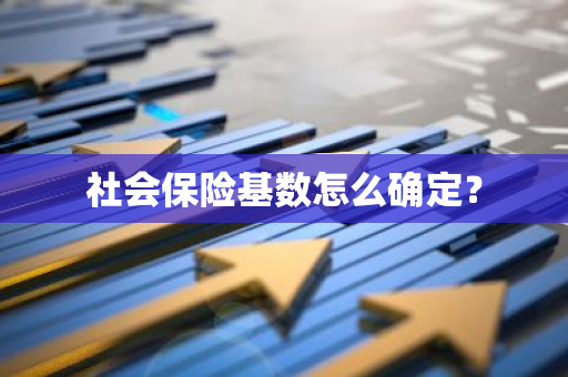 社会保险基数怎么确定？