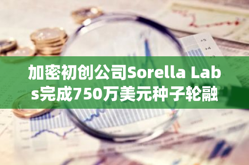 加密初创公司Sorella Labs完成750万美元种子轮融资，Paradigm领投