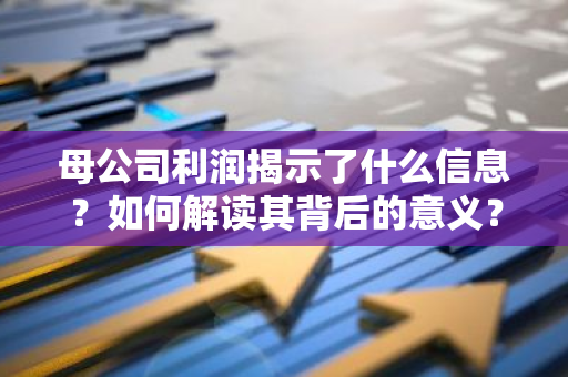 母公司利润揭示了什么信息？如何解读其背后的意义？