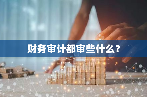 财务审计都审些什么？