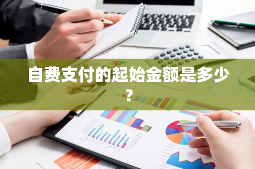 自费支付的起始金额是多少？