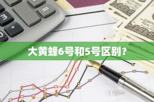 大黄蜂6号和5号区别？