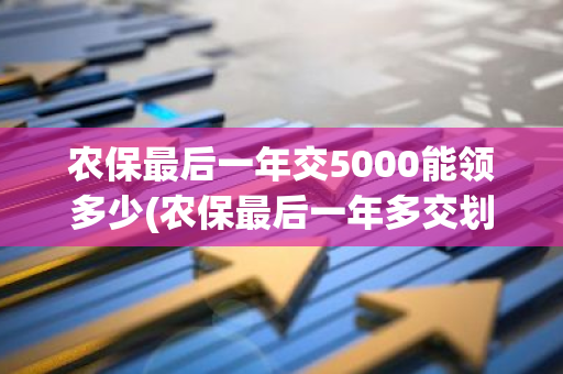 农保最后一年交5000能领多少(农保最后一年多交划算吗)