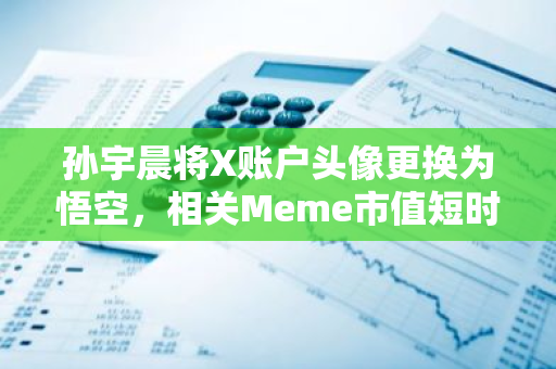 孙宇晨将X账户头像更换为悟空，相关Meme市值短时上涨8倍至500万美元