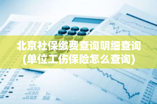 北京社保缴费查询明细查询(单位工伤保险怎么查询)