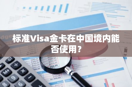 标准Visa金卡在中国境内能否使用？