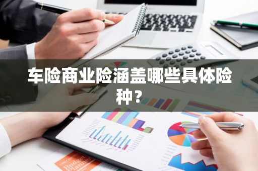 车险商业险涵盖哪些具体险种？