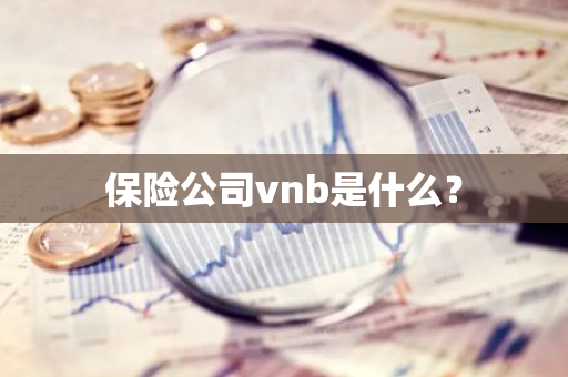 保险公司vnb是什么？