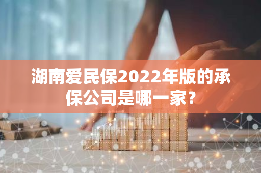 湖南爱民保2022年版的承保公司是哪一家？