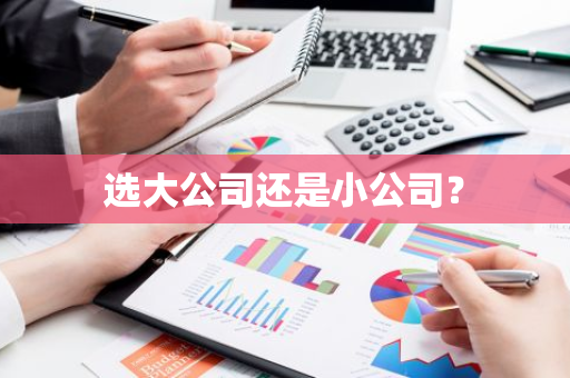 选大公司还是小公司？