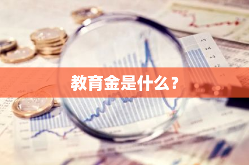 教育金是什么？