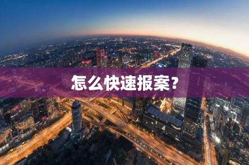 怎么快速报案？