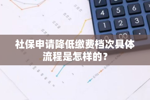 社保申请降低缴费档次具体流程是怎样的？