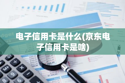 电子信用卡是什么(京东电子信用卡是啥)