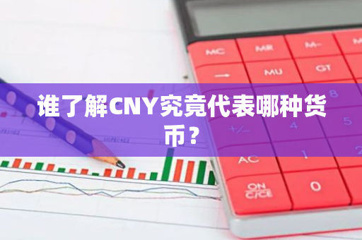 谁了解CNY究竟代表哪种货币？