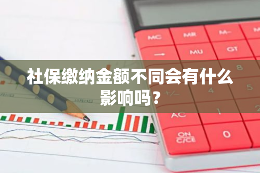 社保缴纳金额不同会有什么影响吗？