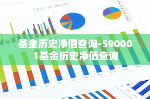 基金历史净值查询-590001基金历史净值查询