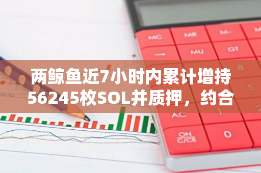 两鲸鱼近7小时内累计增持56245枚SOL并质押，约合797万美元