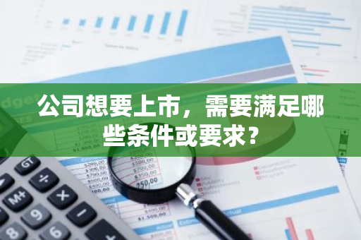 公司想要上市，需要满足哪些条件或要求？