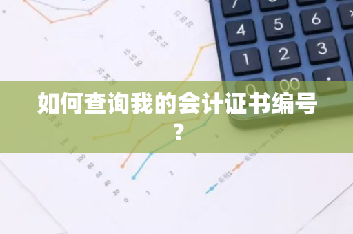 如何查询我的会计证书编号？