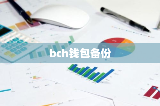 bch钱包备份