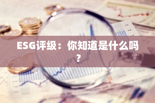 ESG评级：你知道是什么吗？