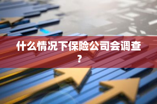 什么情况下保险公司会调查？