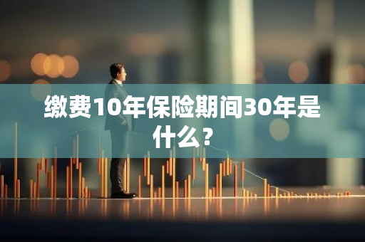 缴费10年保险期间30年是什么？