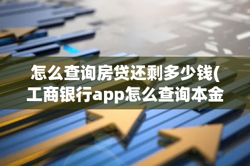 怎么查询房贷还剩多少钱(工商银行app怎么查询本金还是本息)