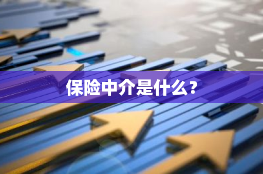 保险中介是什么？