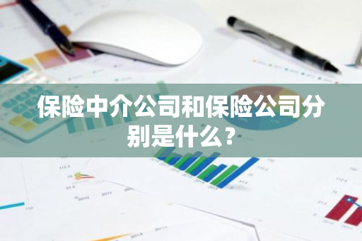 保险中介公司和保险公司分别是什么？